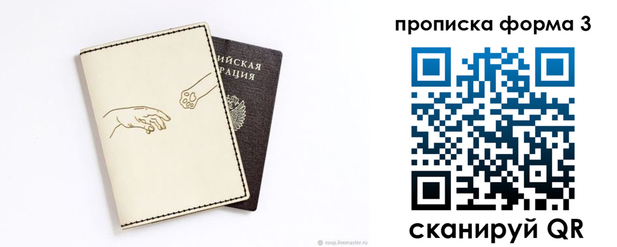 где прописаться в Большом Камне